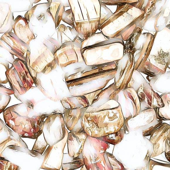 Tigers Eye Photographic Print Filters Applied - Picture 15 of 16